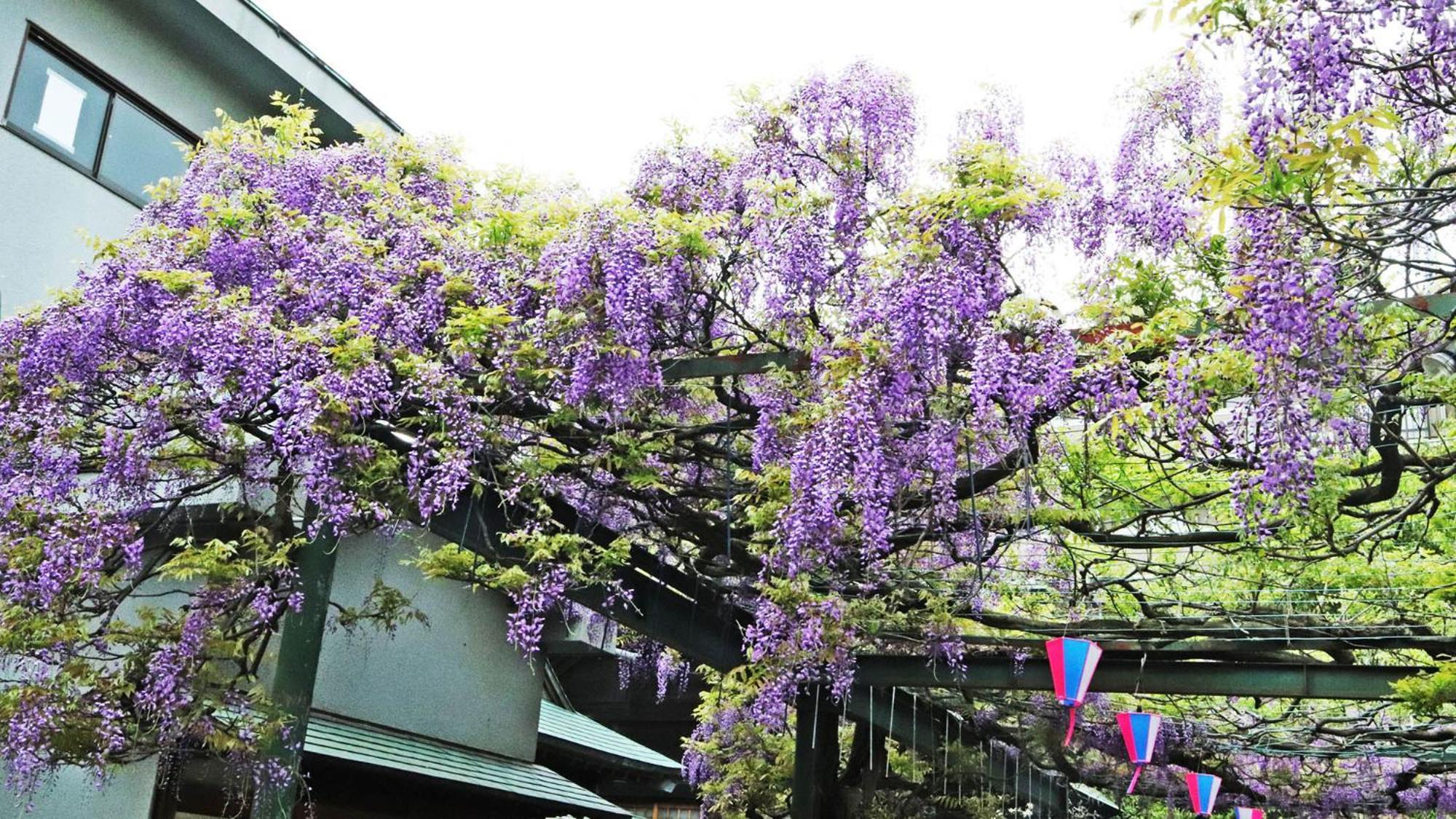 Toyoko Inn Chofu Keio Sen Fuda Eki المظهر الخارجي الصورة
